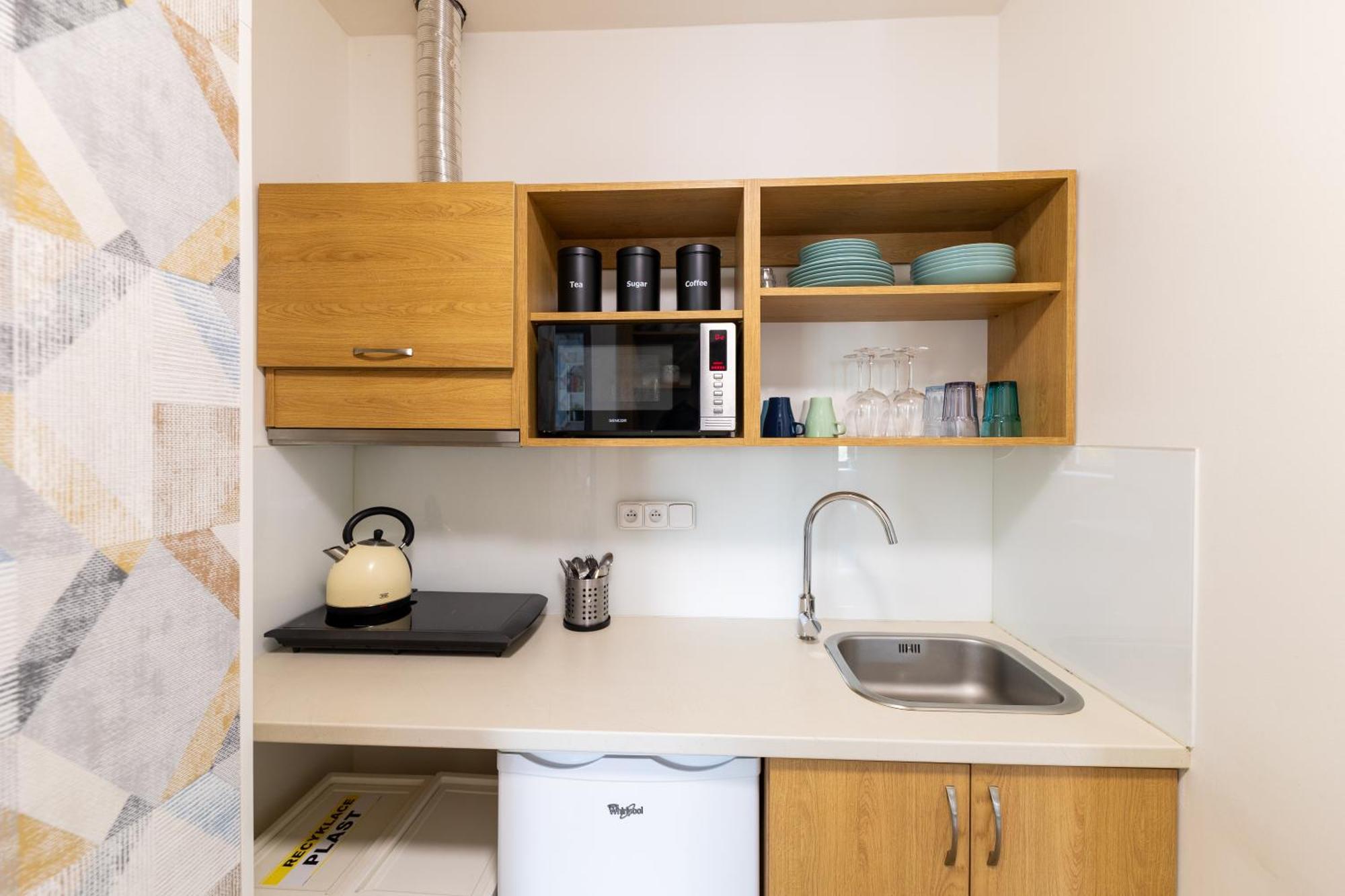 Apartmán Plzeňská 465